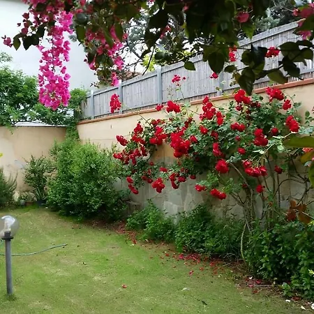 Giulia's House بيت للعطل *