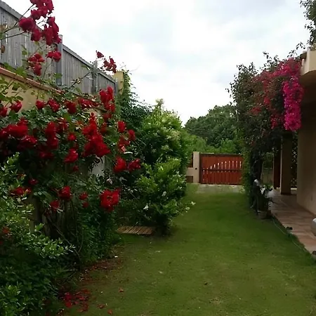 펜션 Giulia's House